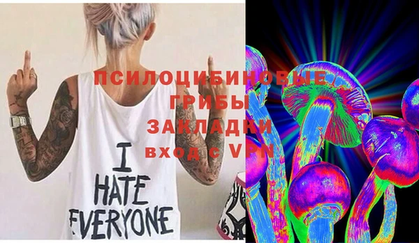 мяу мяу мука Волоколамск