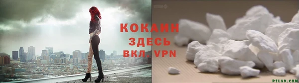 мяу мяу мука Волоколамск