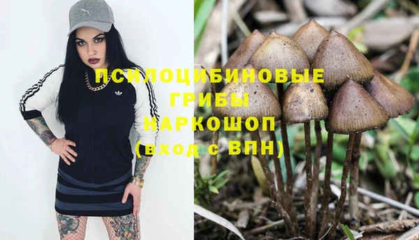 мяу мяу мука Волоколамск