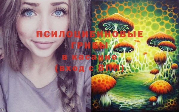 мяу мяу мука Волоколамск